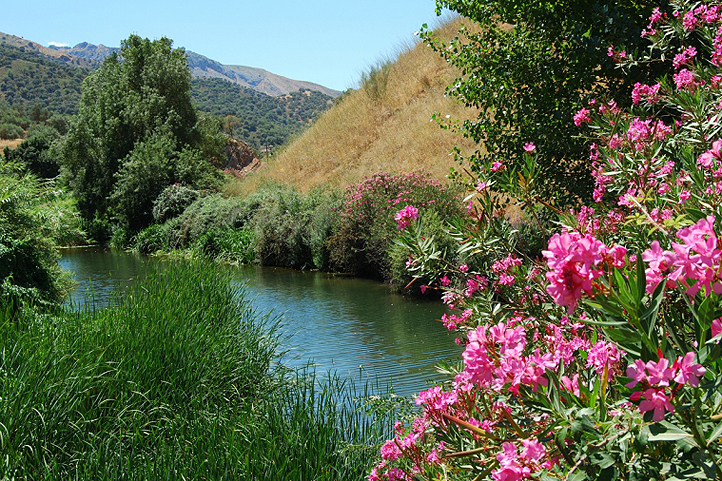 Guadiaro river